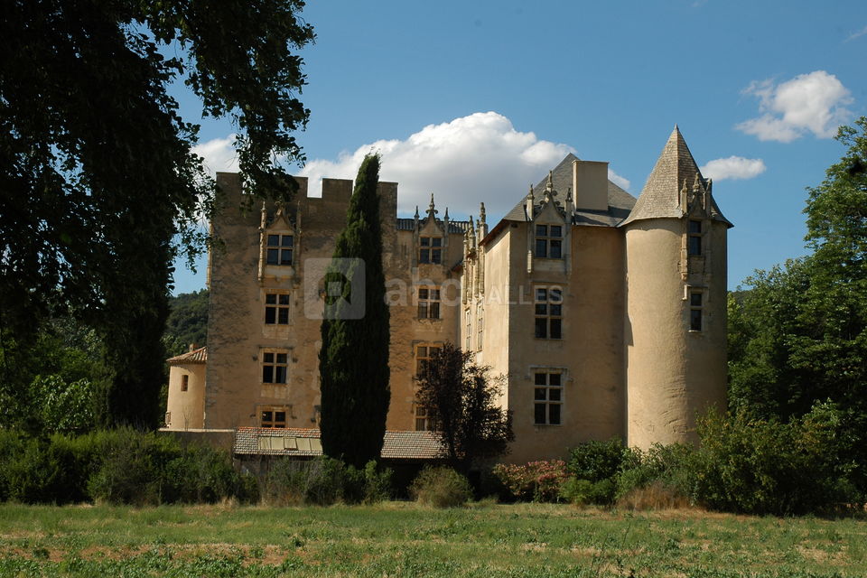 Château d'Allemagne-en-Provence