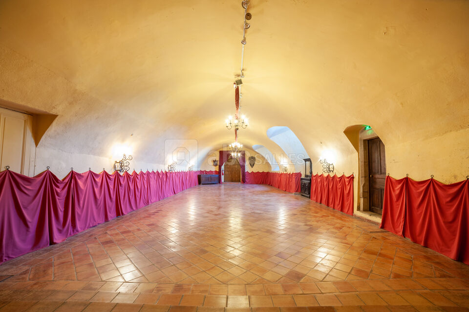 Château Royal de Saint-Saturnin