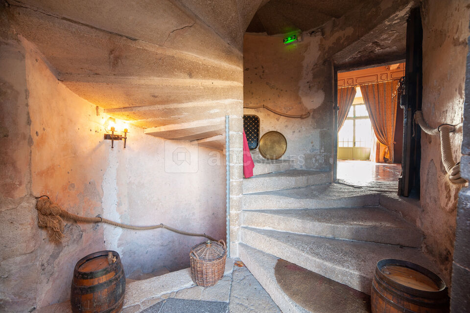 Château Royal de Saint-Saturnin