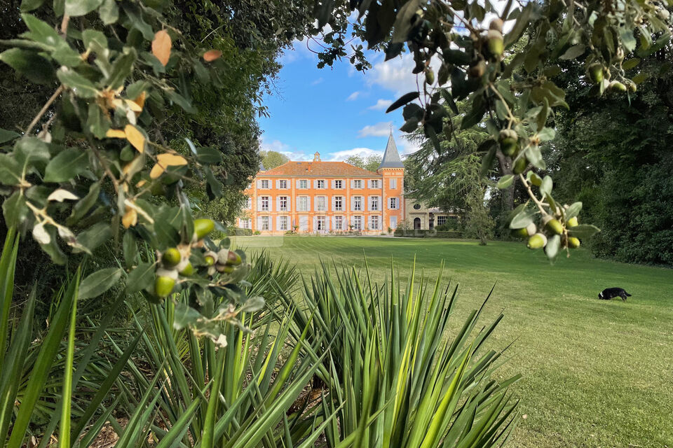Le parc et sa pelouse