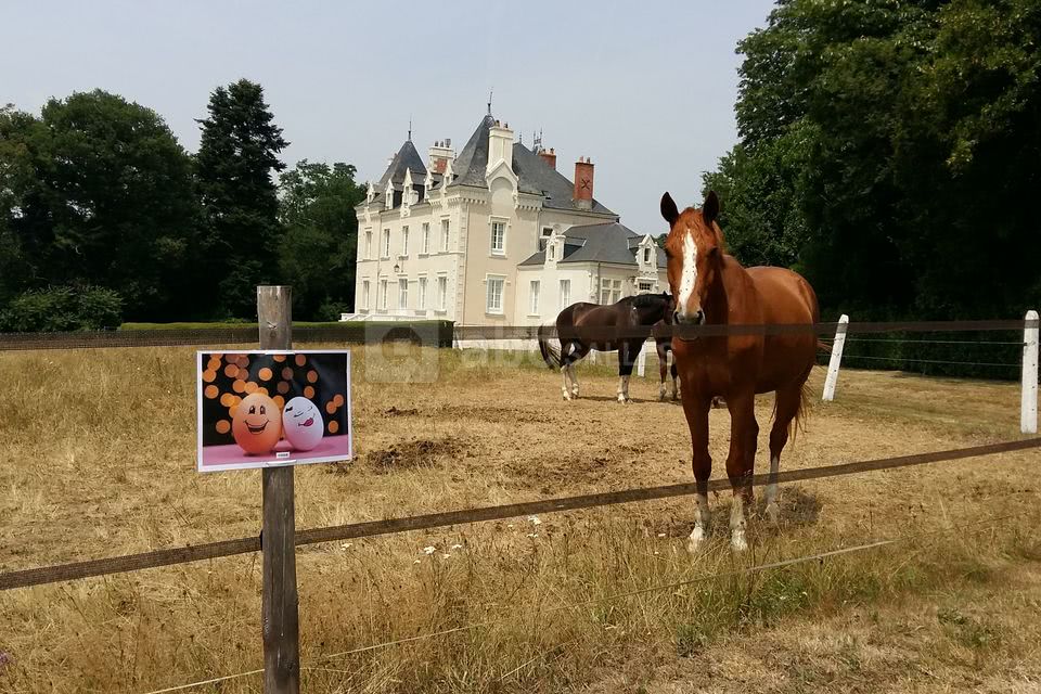 Le Domaine du Chalonge
