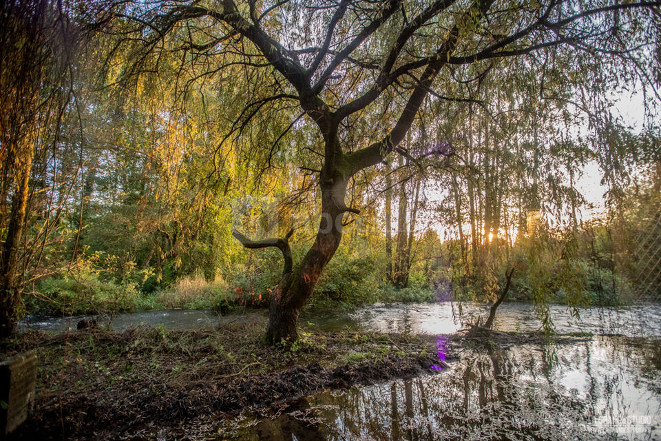 Le Moulin de Saint-Germain-sur-Bresle