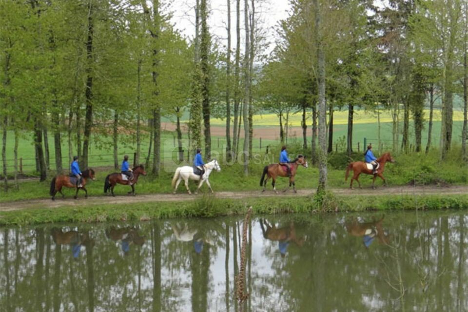 ETANGS dont un de baignade 100 m de long