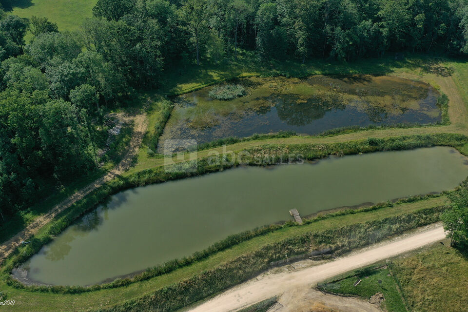 ETANGS dont un de baignade 100 m de long