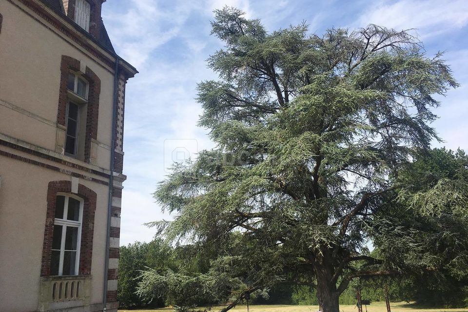 Château de la Fontaine