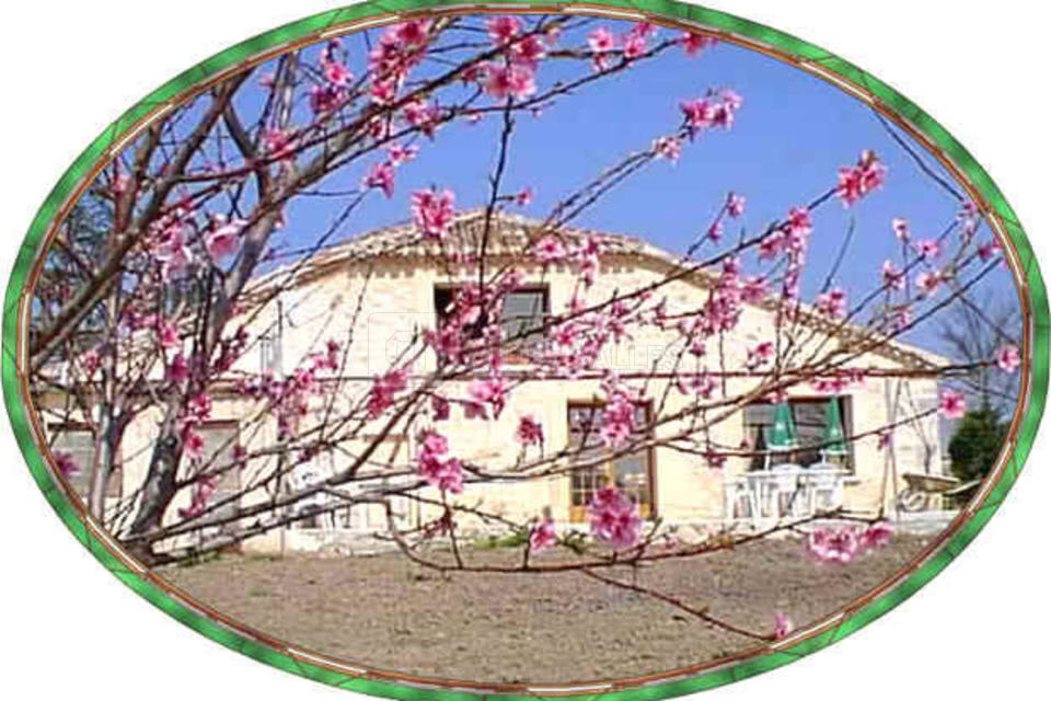 Le Clos des Oiseaux