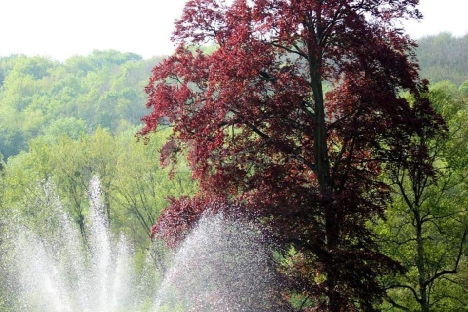 Notre magnifique fontaine