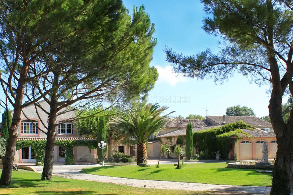 Parc sous les pins