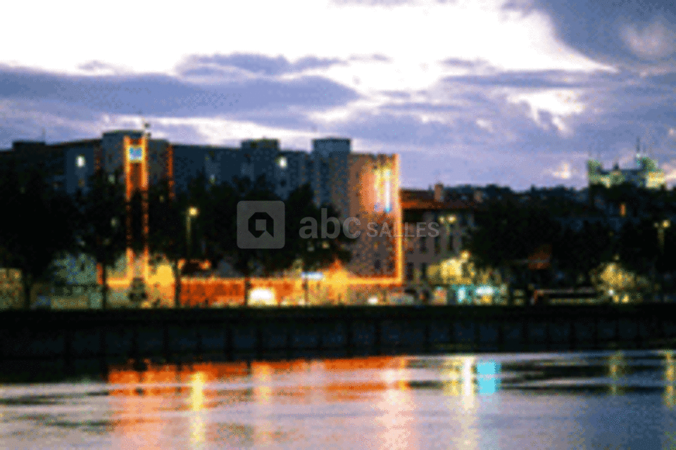 Hôtel Ibis Lyon Perrache
