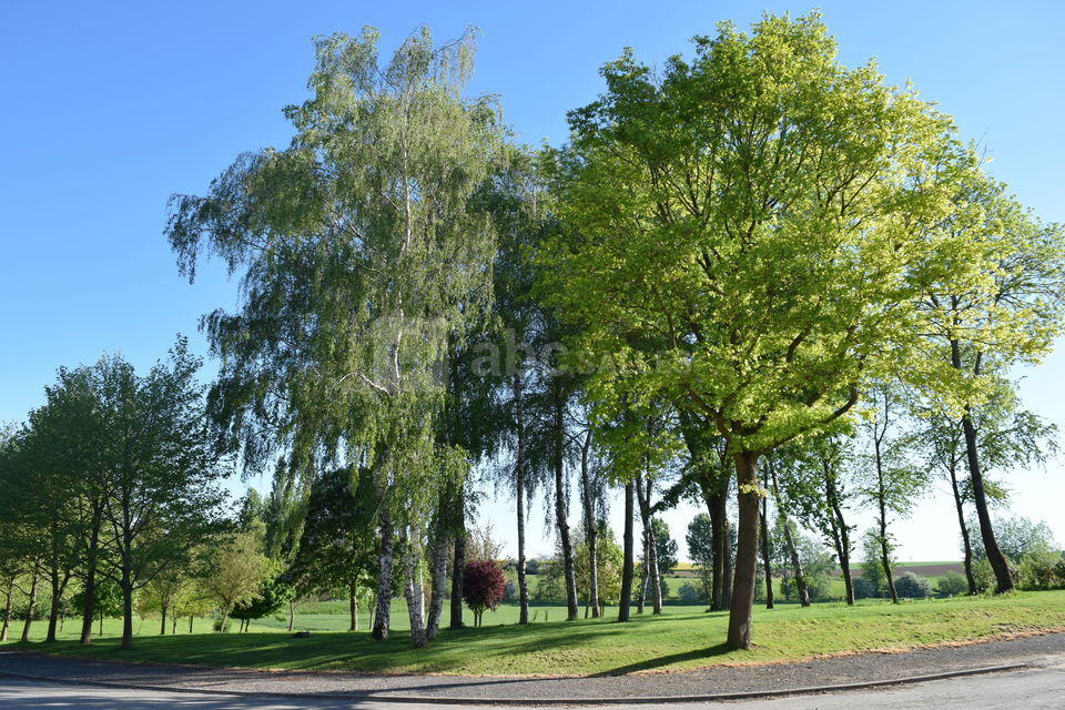 Domaine Les Hauts de Vertigneul