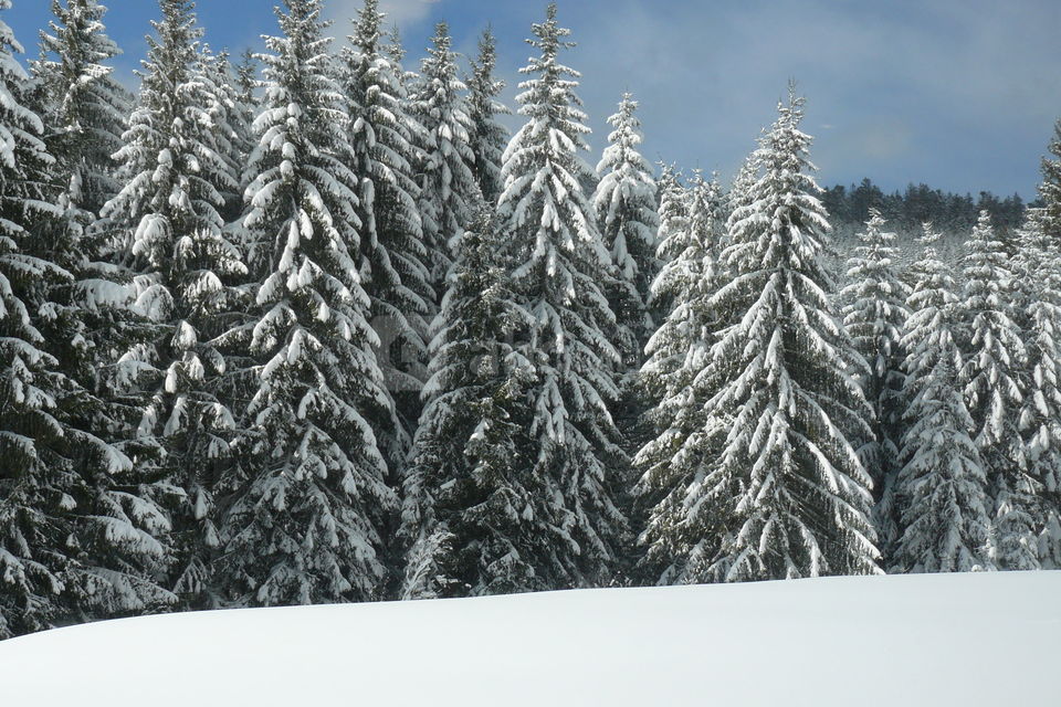 Vosges en hiver