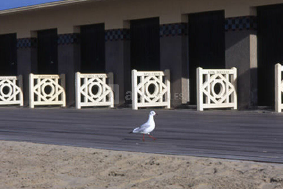 Les Jardins de Deauville