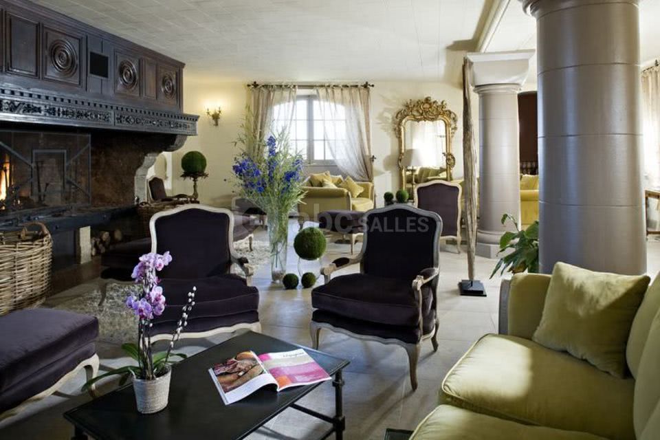 Salon cheminée