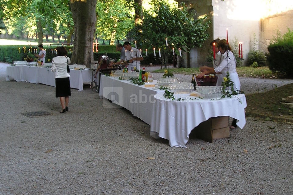Vin d'honneur sous les platanes