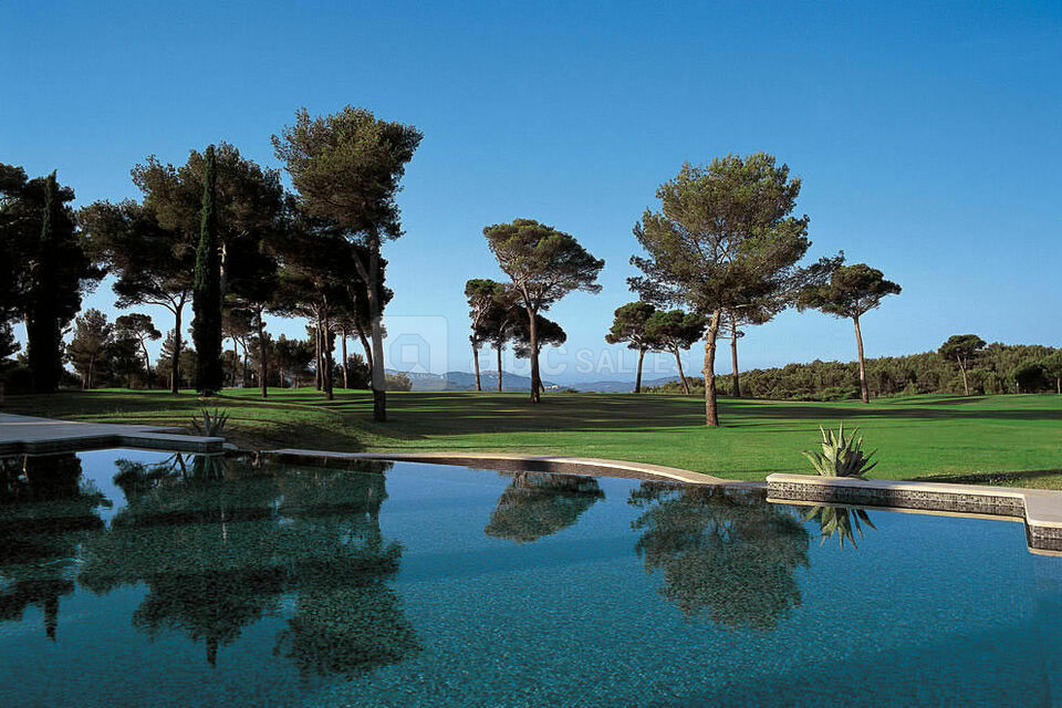 Piscine pins