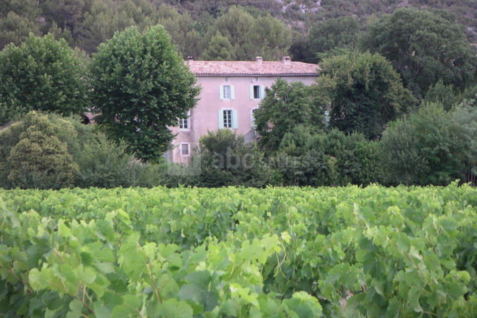 La bastide vue des vignes