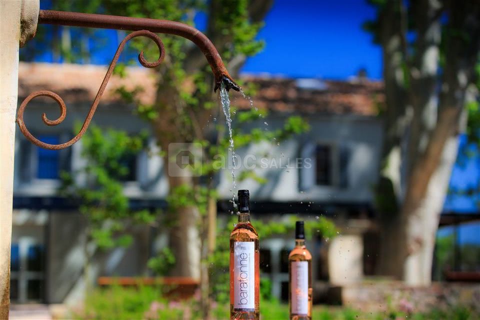 Domaine de la Baratonne