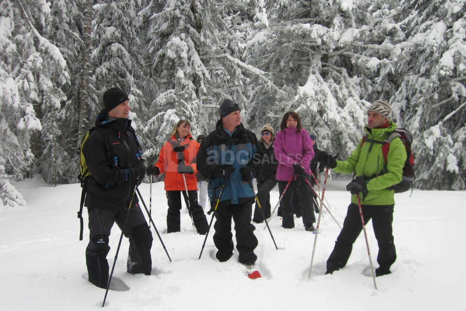 Randonnée raquettes