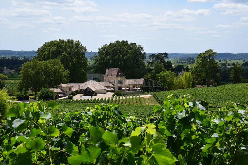 Château Bellefont Belcier