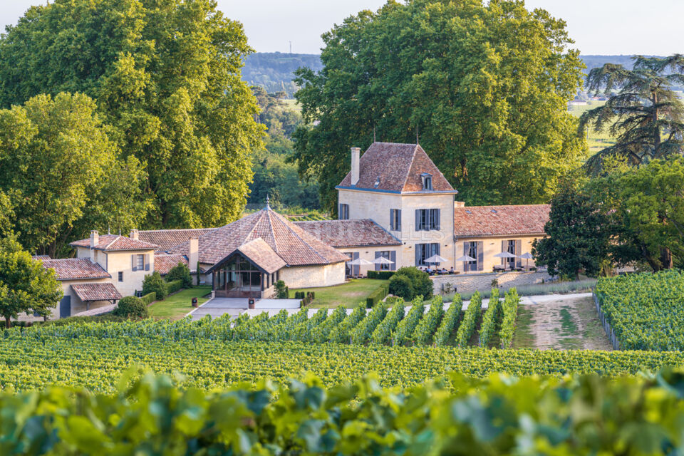 Château Bellefont Belcier