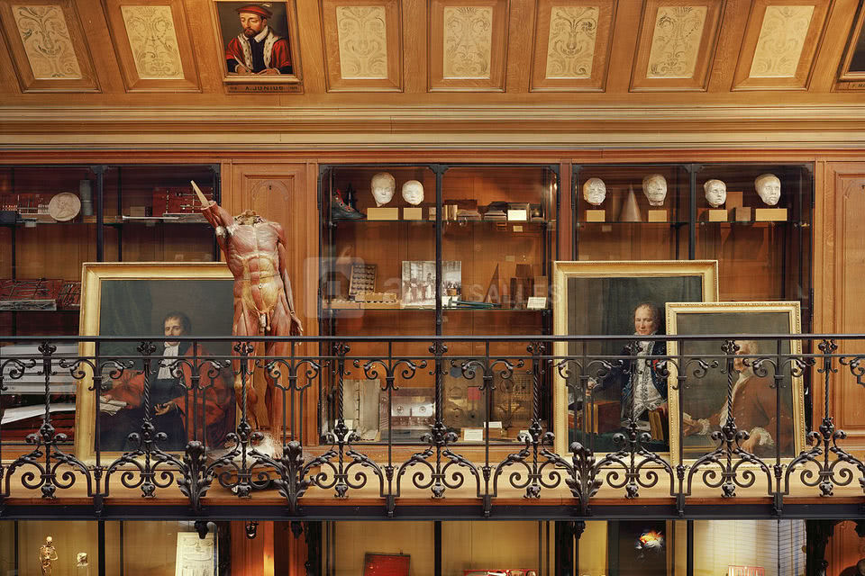 Musée d'Histoire de la Médecine