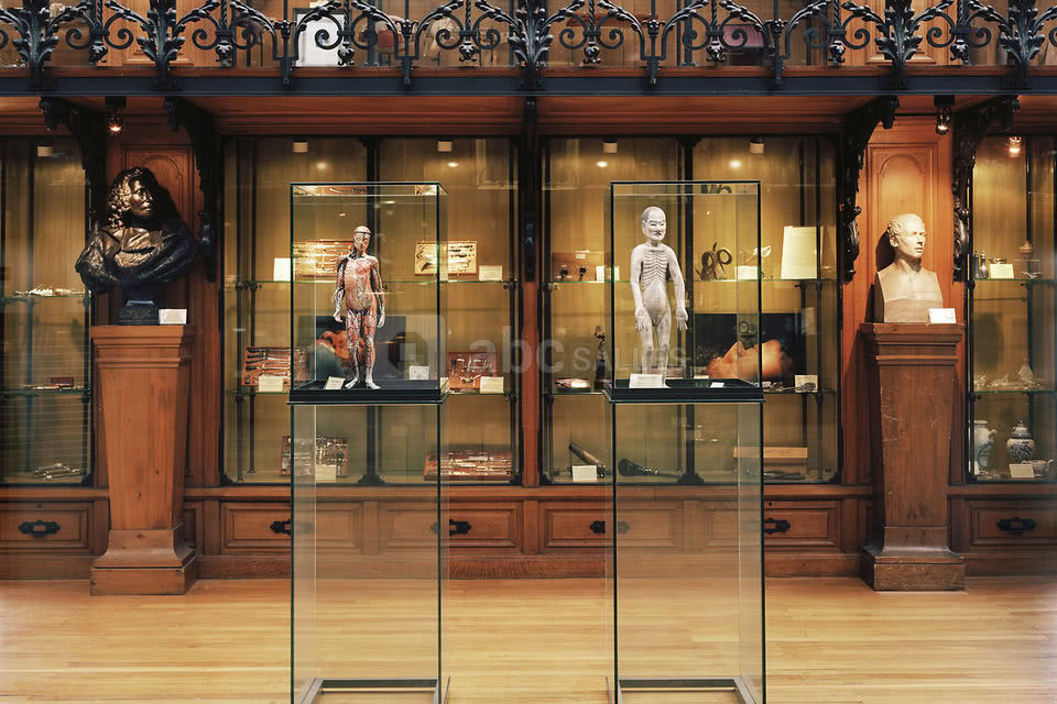 Musée d'Histoire de la Médecine