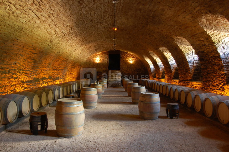Château de Pierreclos
