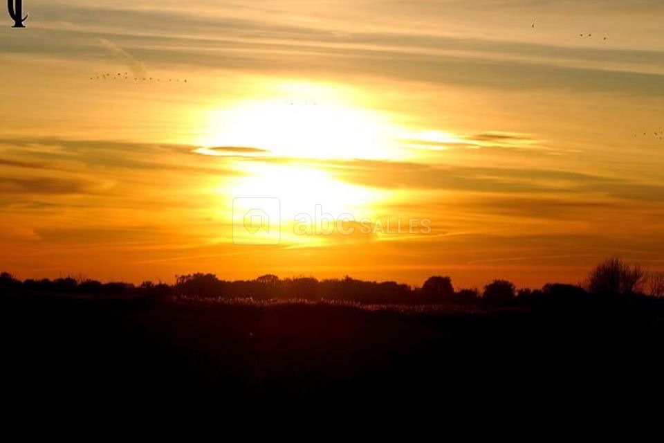 Manade la Vidourlenque