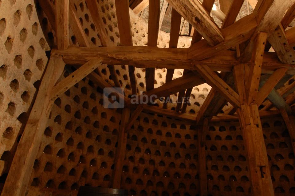 Château de Luzigneul