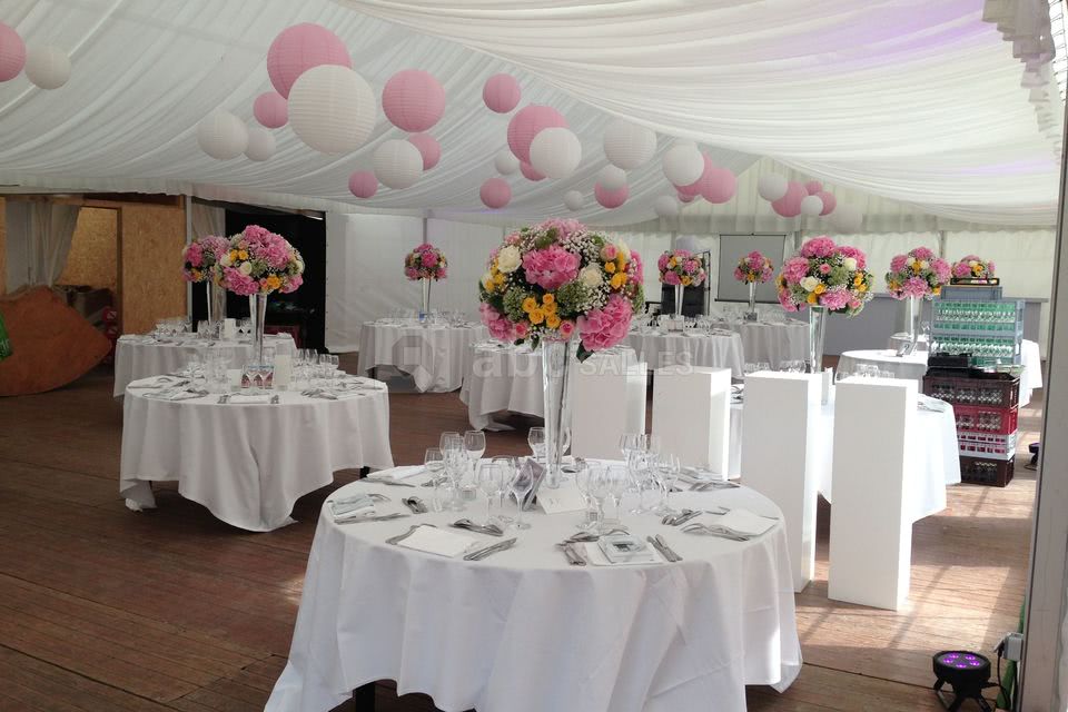 Château de Luzigneul