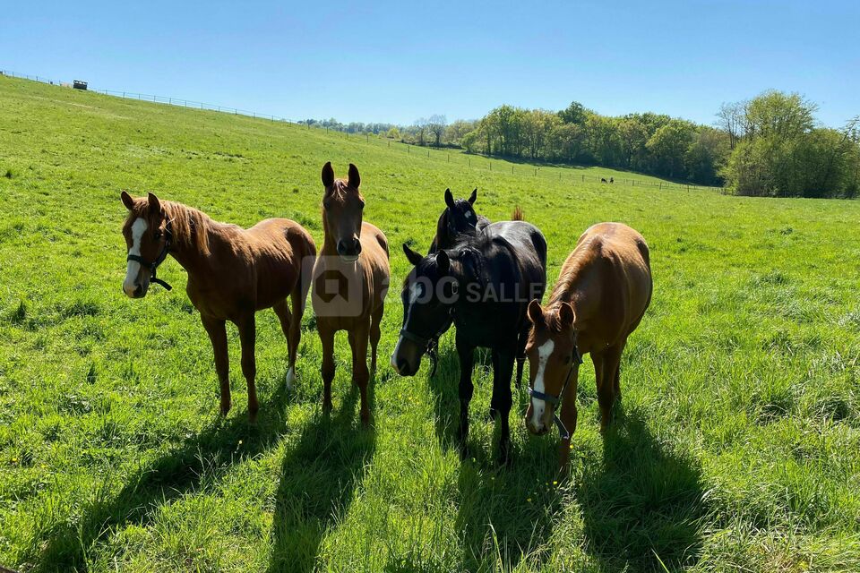 Salle de réception 47