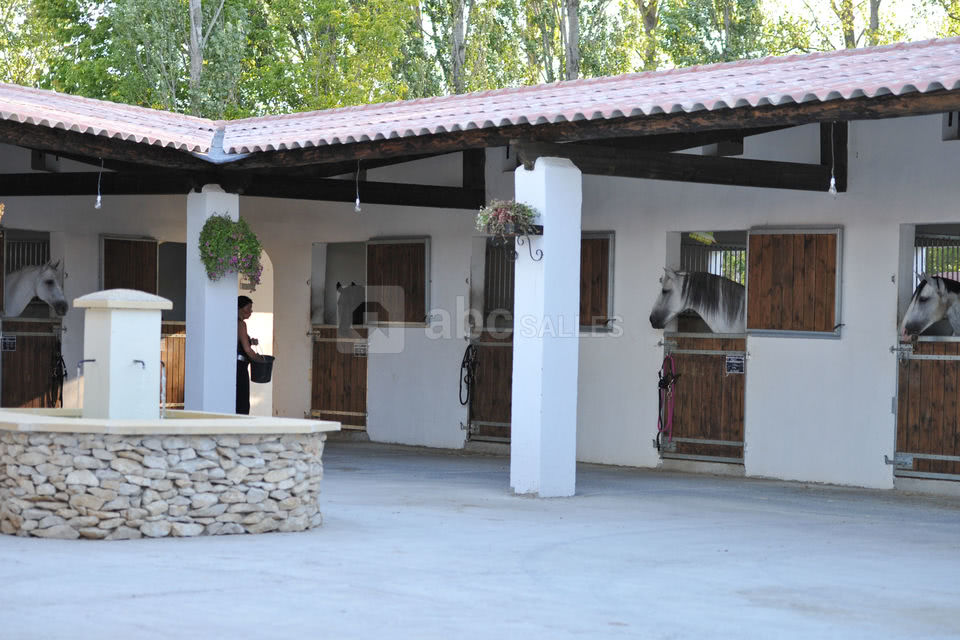 Domaine Hasta Luego