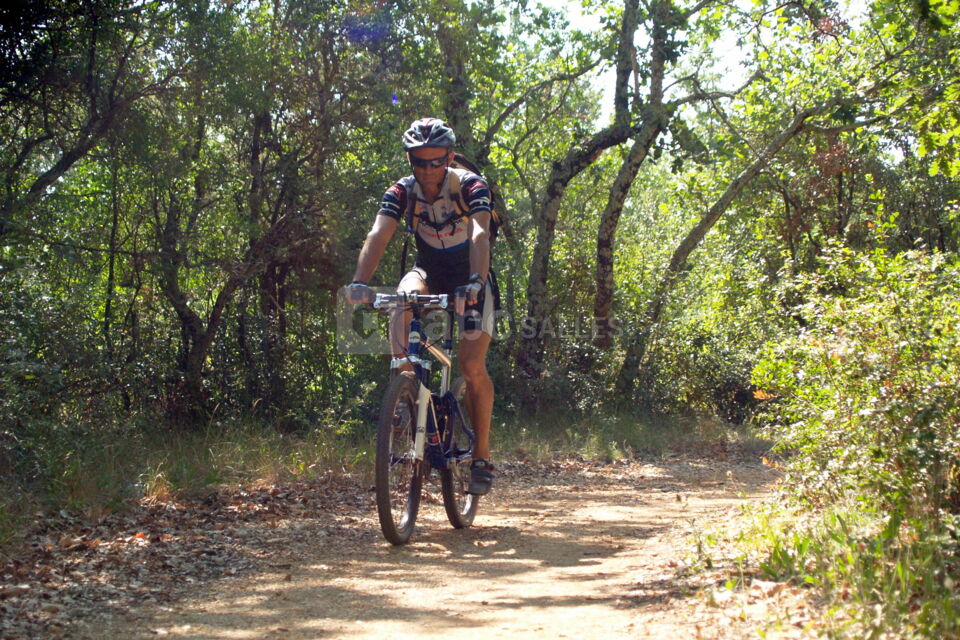 Activité VTT