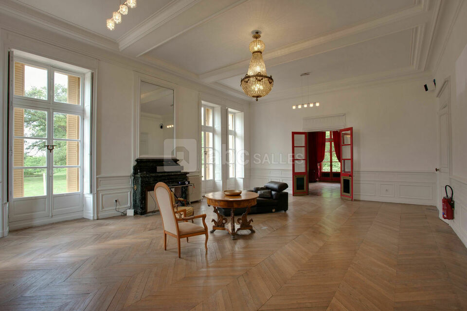 Château de la Plaudière