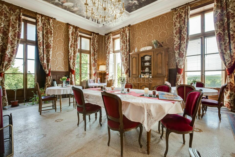 Château de la Plaudière