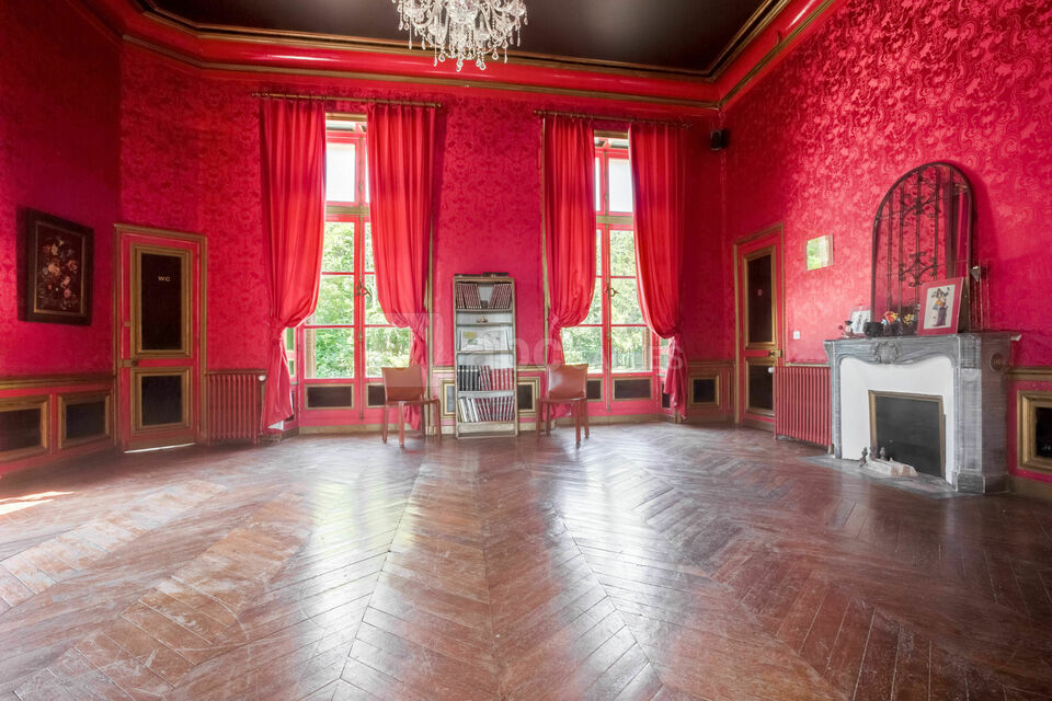 Château de la Plaudière