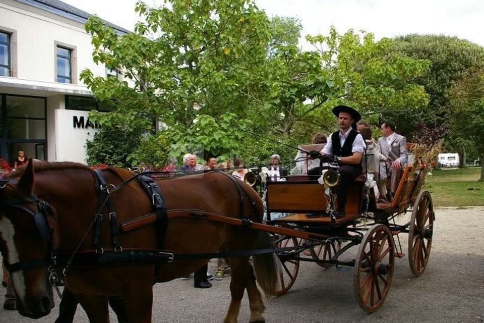Arrivée au domaine en calèche