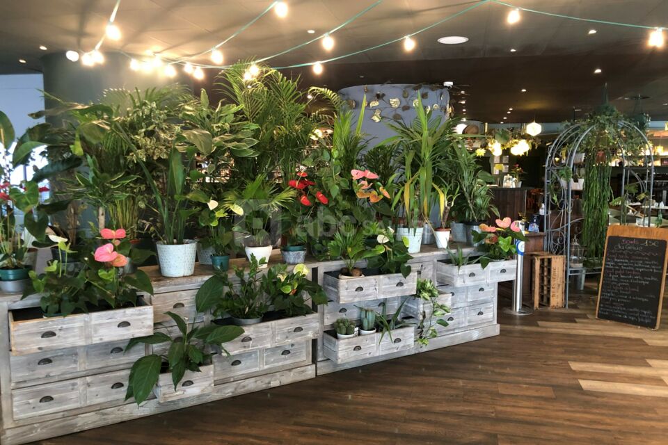 Hôtel Ibis Bastille Opéra