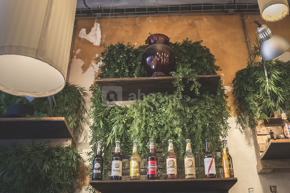 Gamme de sodas BIO allemands