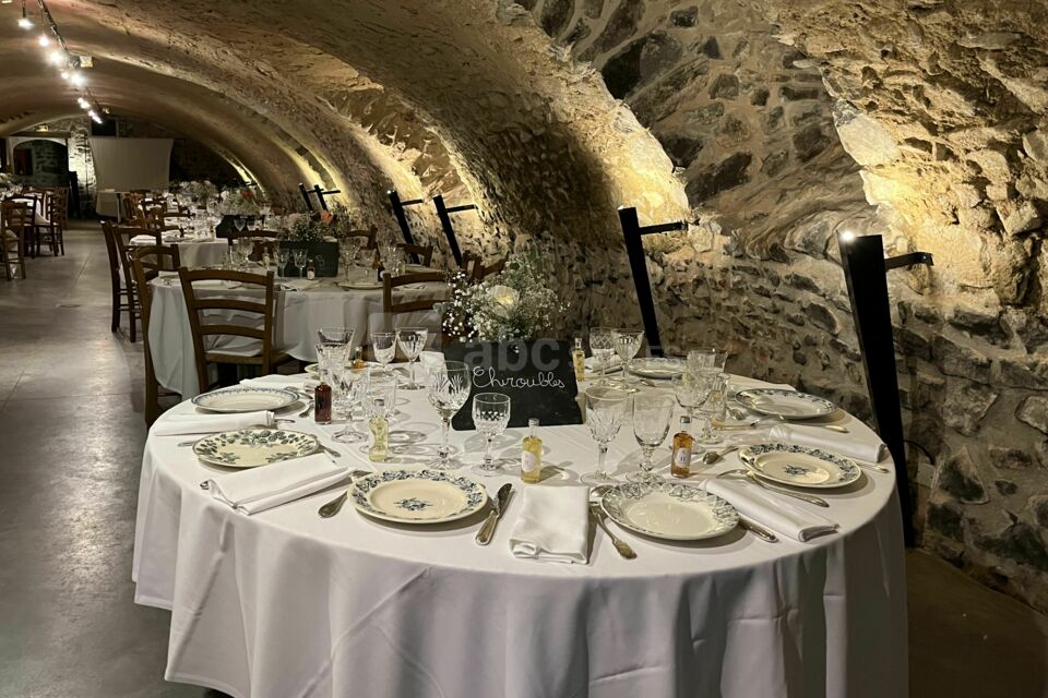 Château des Vergers