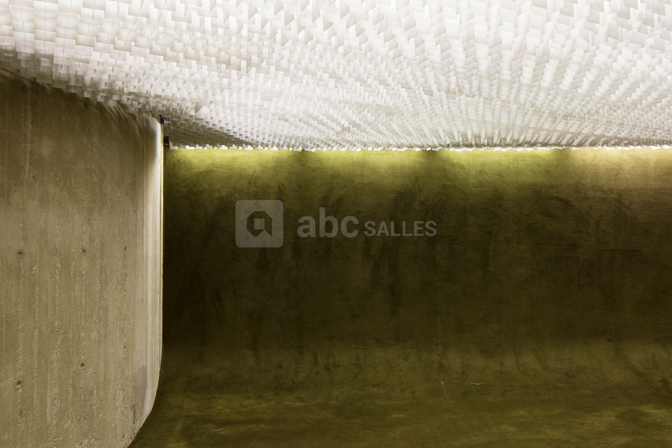Espace Niemeyer