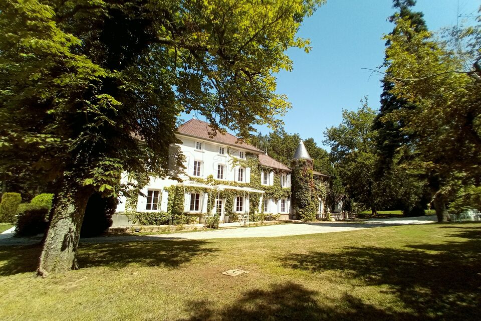 Chateau des ayes