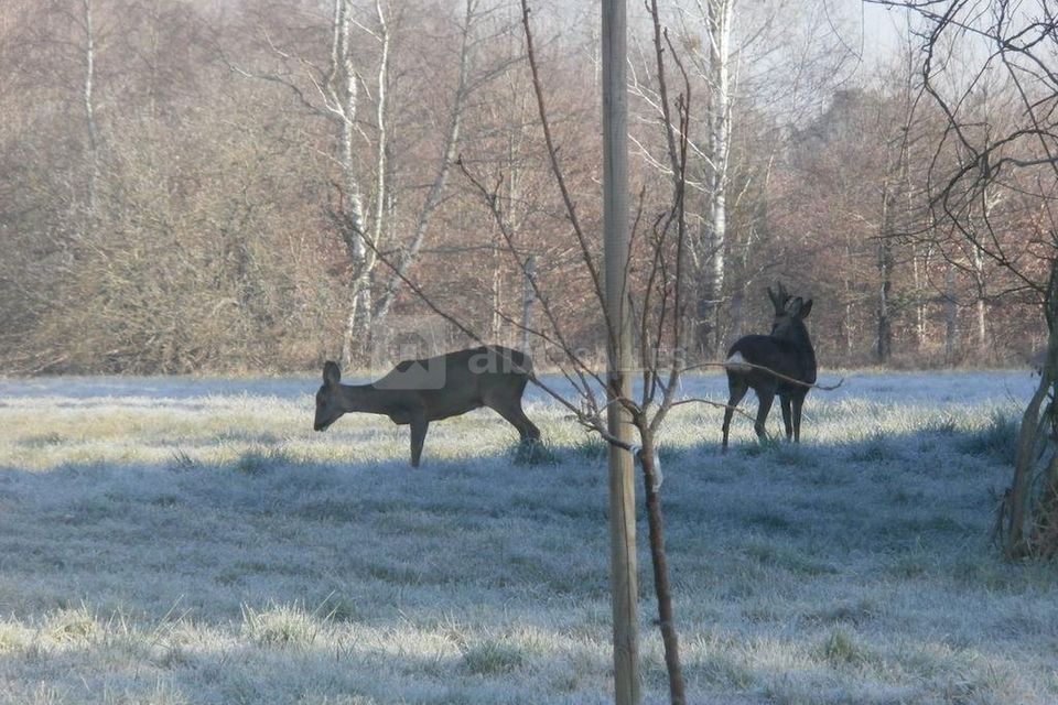 Domaine de La Championne