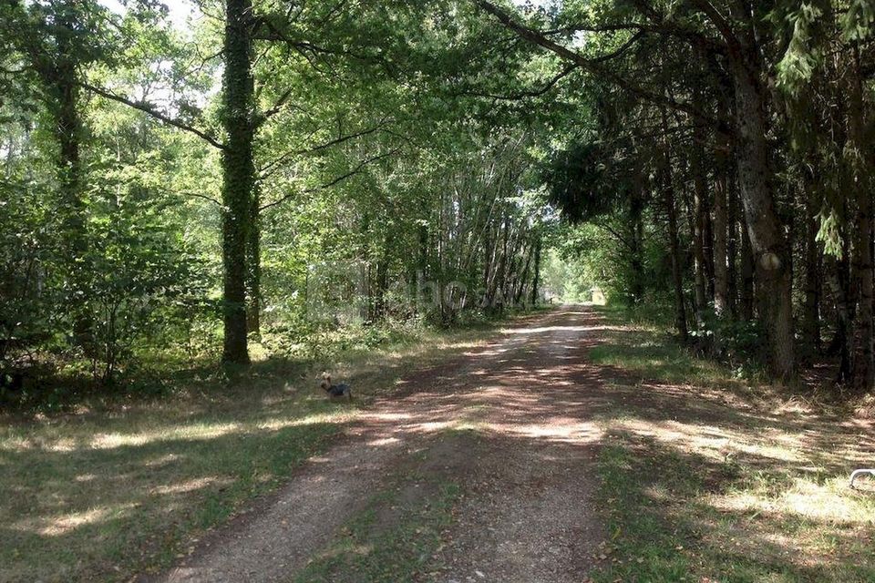Domaine de La Championne