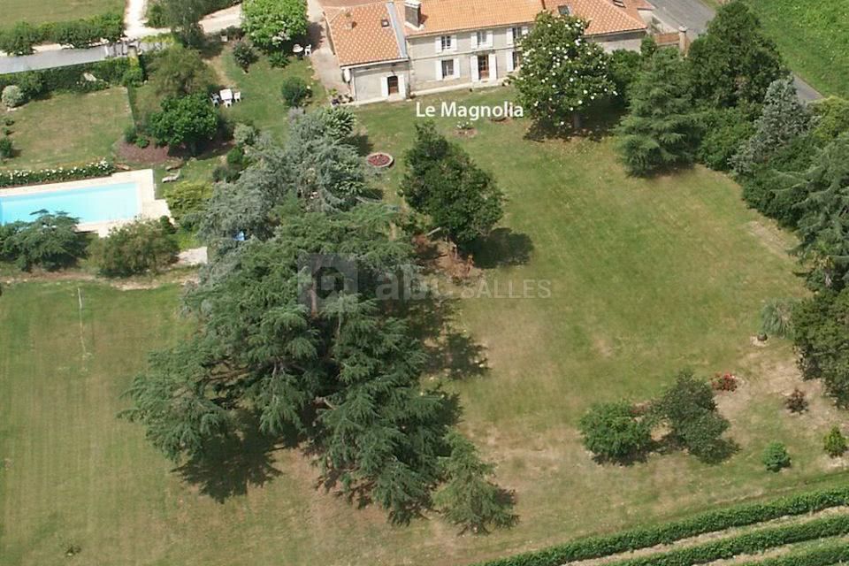 Vue aérienne - chateau la gontrie