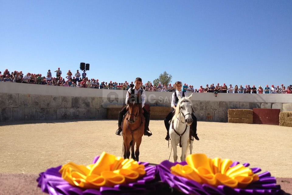 Spectacle equestre