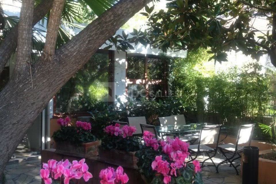 Restaurant Les Palmiers