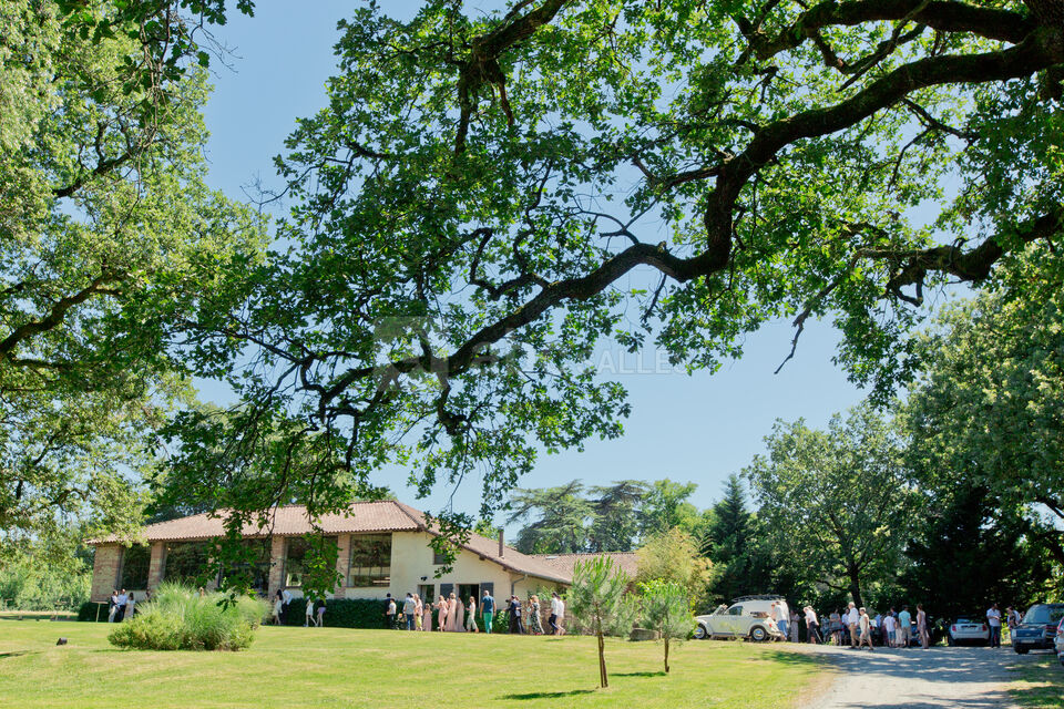 Domaine Saint Michel Tarn