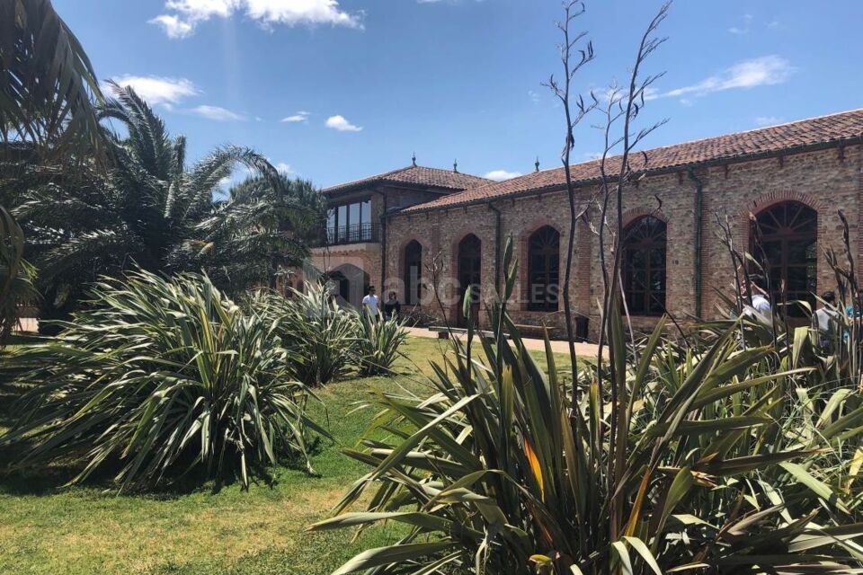 Domaine du Mas Conte