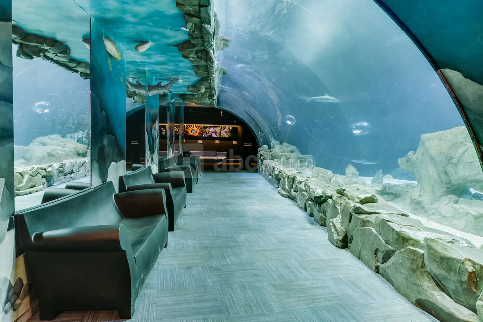 L'Aquarium